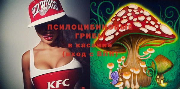 ПСИЛОЦИБИНОВЫЕ ГРИБЫ Аркадак