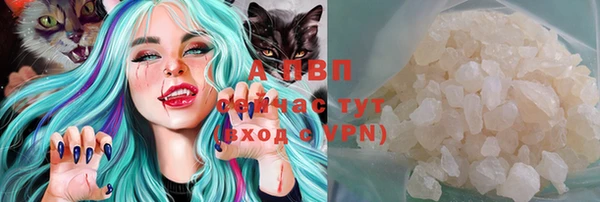 крисы Новозыбков