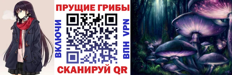 продажа наркотиков  Спасск  Псилоцибиновые грибы ЛСД 