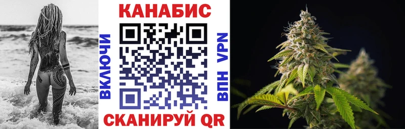 Каннабис сатива  Спасск 